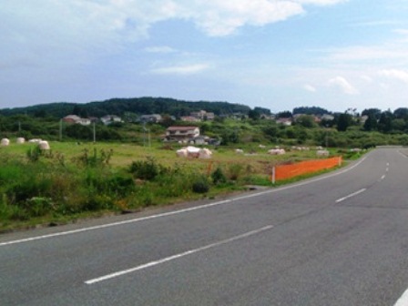 20140919_M137.jpg