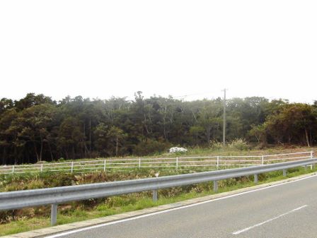 20141005_M308_3.jpg