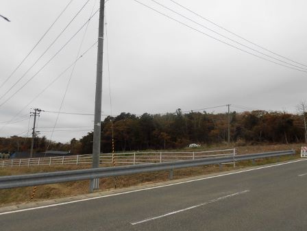 20141109_M308_3.jpg