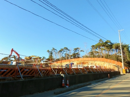 20141215_M308_1.jpg