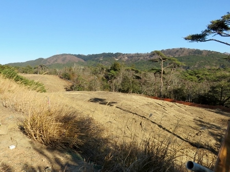 20141215_M308_2.jpg
