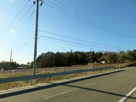 20141215_M308_3.jpg