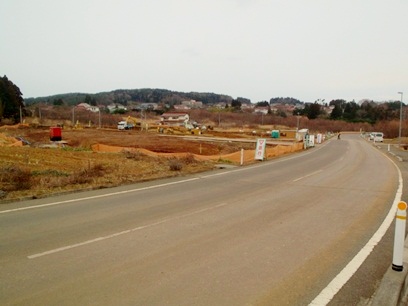 20150120_M137.jpg