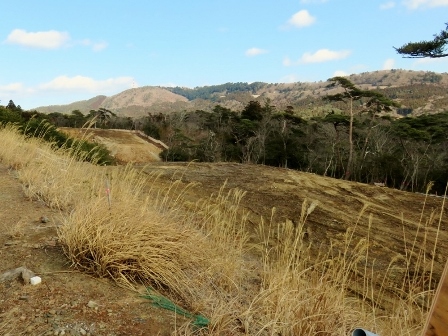 20150124_M308_2.jpg