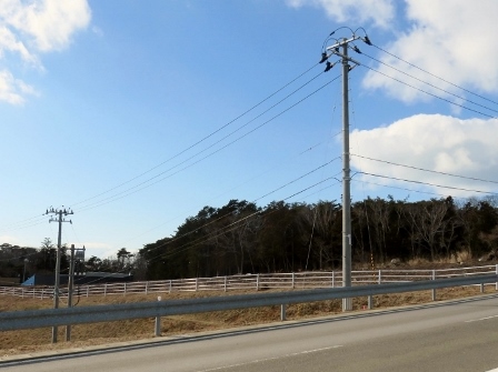 20150124_M308_3.jpg