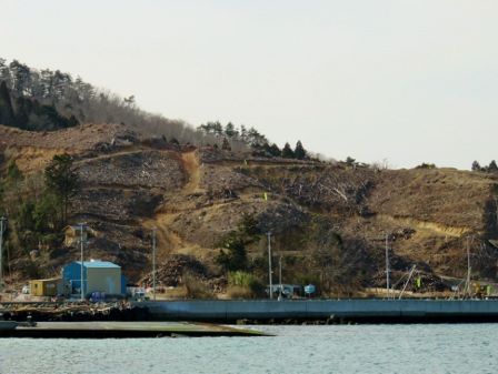 20150225_M321.jpg