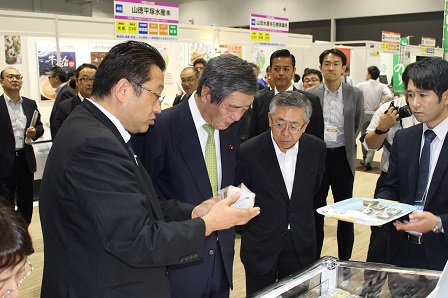20150616_ph5.JPG