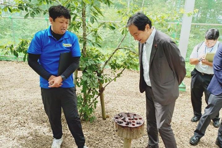 20250731_koshi_04.jpg