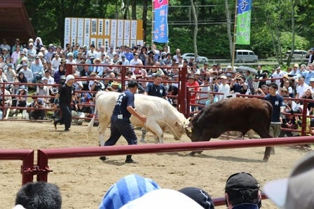 20160612_ph2_iwate.jpg
