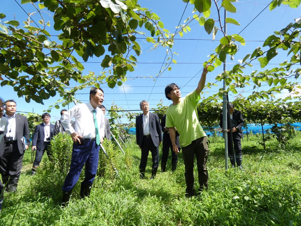 ■キウイの国視察②